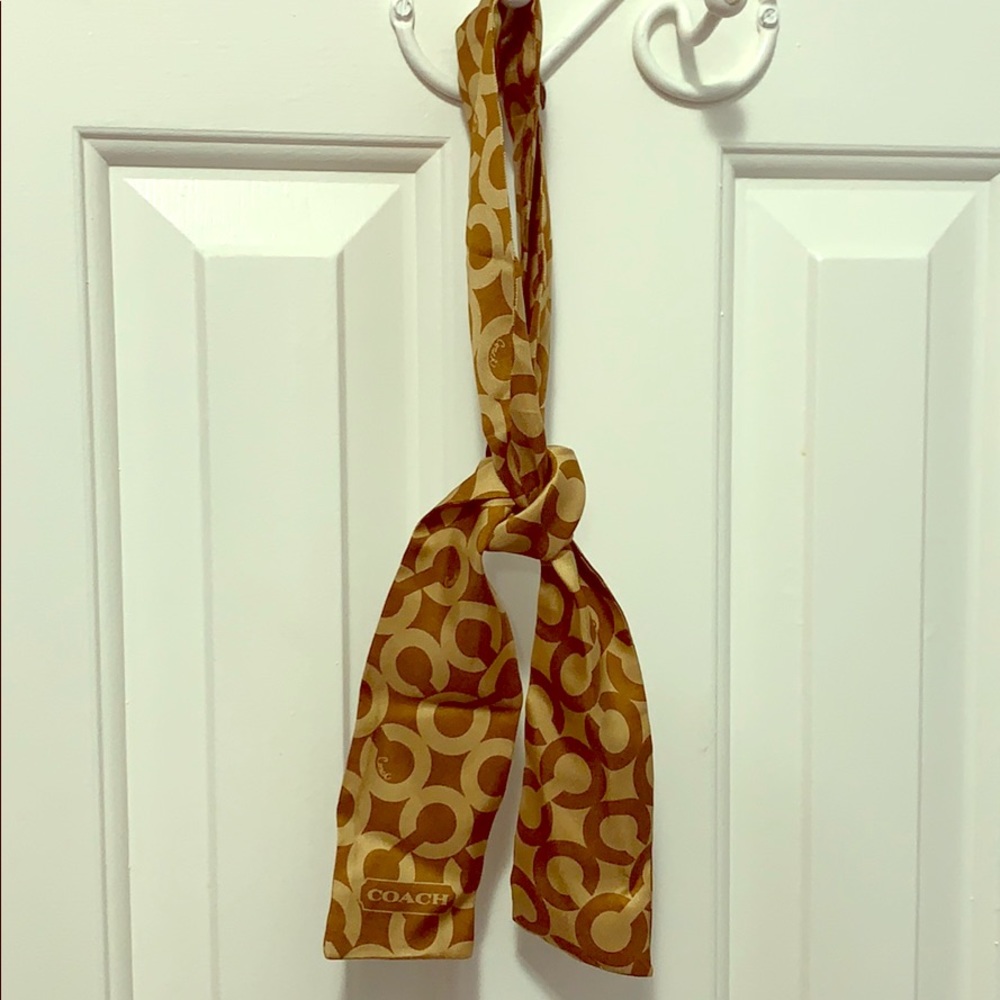 Silk Coach scarf.